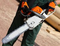 Viena vienīga kailcirte – Latvijas ainavas nenovēršamā nākotne?!