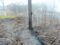 Pērnās zāles dedzināšana rada draudus elektroapgādei