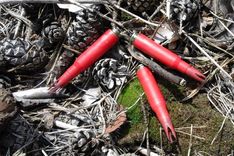 Patriotisma citādā seja