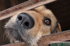 Neatstāj draugu aiz vārtiem!