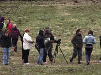 Jaunmoku apkārtnē aicina putnu balsis