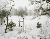 Tukuma Mākslas muzejā – Artuma gleznas un Hofmaņa fotogrāfijas