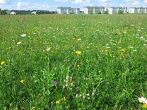 Dabai ir vieta arī pilsētā