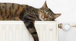 Valdība lemj atvieglot lēmumu pieņemšanu daudzdzīvokļu dzīvojamās ēkās