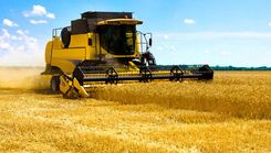 Lauksaimnieki uzsāk ražas novākšanu – aicinām autovadītājus būt iecietīgiem un uzmanīgiem