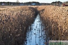 Slocenes, Kalnupes un Džūkstes upēs gaidāmi lieli rekonstrukcijas darbi