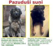 Palīdzēsim saimniekiem atrast savu mīluļus