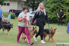 Kurzemes čempionātā suņu daudzcīņā Irlavā