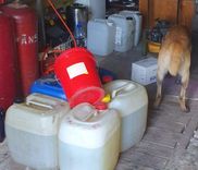 Policijas suns uzož cigaretes