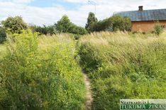 Zāli Tukumā sola nopļaut