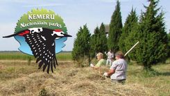 Aicina uz talku Kaņiera ezera krastos