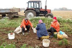 Vai VID iznīcinās seno labdarību un svētkus laukos – talkas?