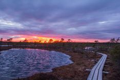 Pilnībā izdevies likvidēt Ķemeru nacionālā parka meža un purva ugunsgrēku