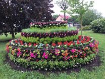 Vasaras puķu stādīšana pilsētā turpinās