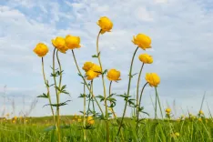 Kad vērtības nākas pārvērtēt...