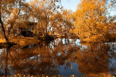 Atbalsts uzņēmējiem Tukuma novadā 2024. gadā