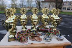 Tumes šķēpi – šopavasar lietū un vēja brāzmās /FOTO/