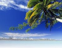 Lielākā daļa Latvijas iedzīvotāju šovasar dodas atvaļinājumā