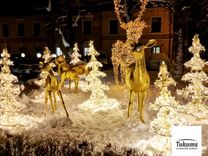 Otrajā Adventē Tukumā un apkārtnē