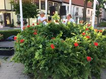 Top Saulgrieži! Top Līgo un Jāņi Tukumā!