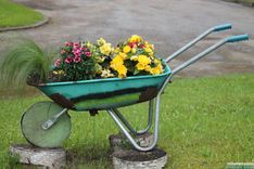 Ielūkojoties Vānes pagasta svētkos