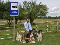 Fermas kolliju īsfilma ''Traktors'' /VIDEO/