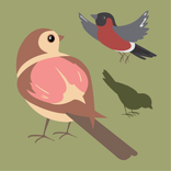 Jauno mācību gadu aicina atzīmēt Pasaku svētkos Džūkstē