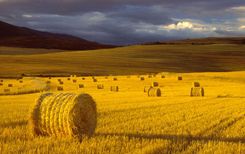 Ja meklē darbu būvniecībā vai laukos