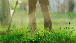 Lai saņemtu maksājumus, zāle jānopļauj un jānovāc. Smalcināt nedrīkst!