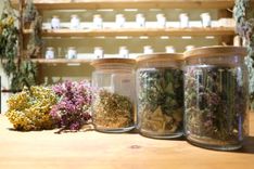 Aicina uz ģimenes dienas pasākumiem Jaunmoku pilī