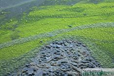 Šlokenbekas dzirnavu dīķī konstatētas zilaļģes