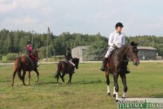 Zirgu dienā Kandavas novada Valdeķos /FOTO/