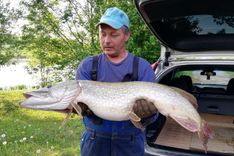 Maijā brangi lomi Slampes dīķī