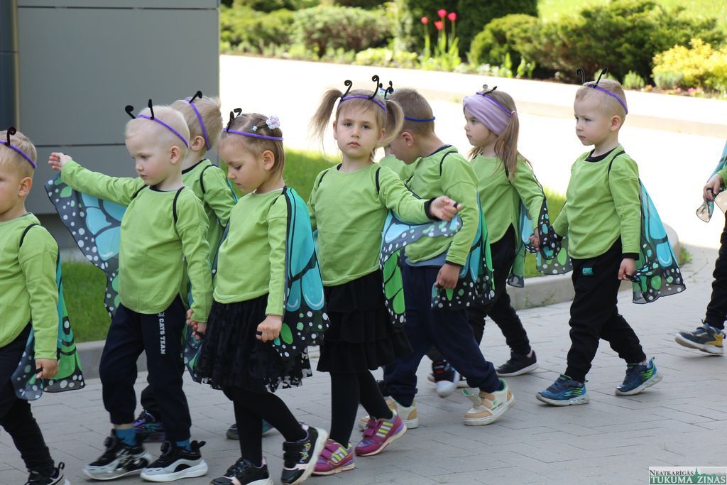 Gallery image 153811