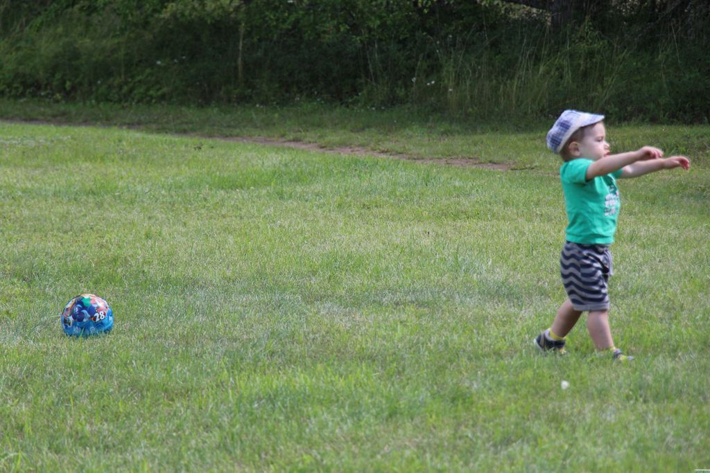 Gallery image 252467