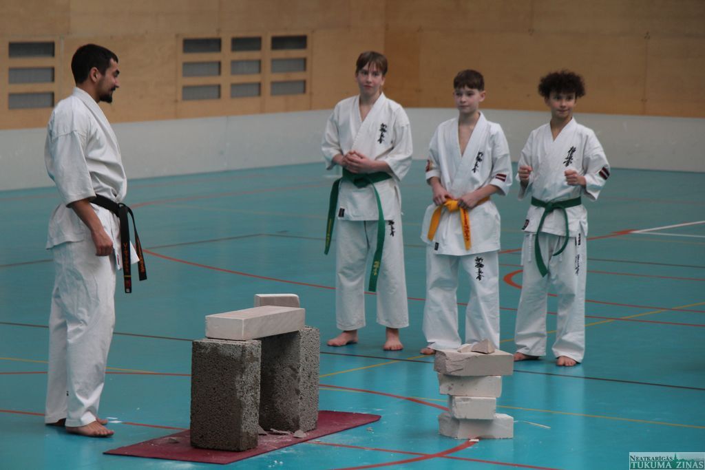 Gallery image 260829