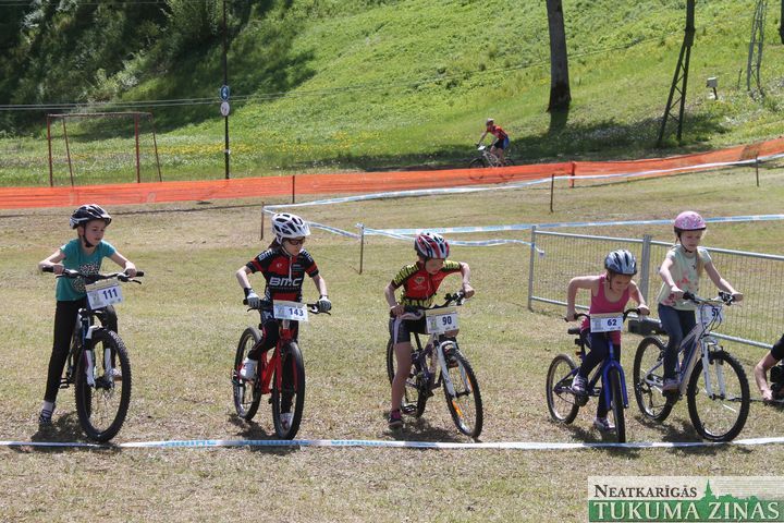 Gallery image 177142