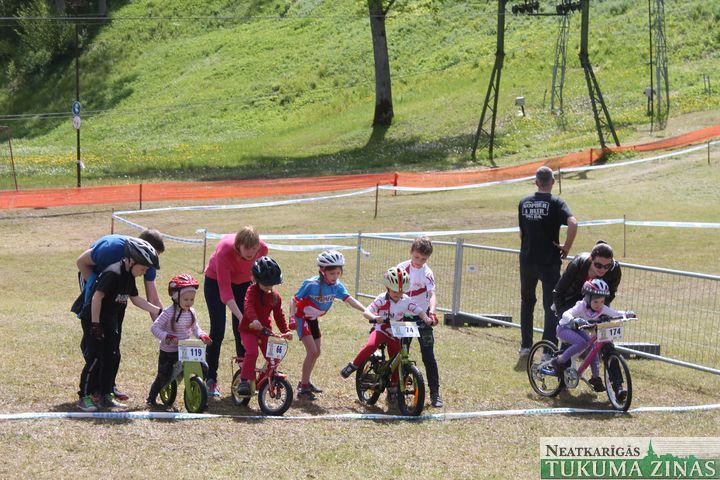 Gallery image 177137