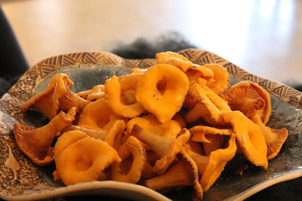 Gallery image 154575