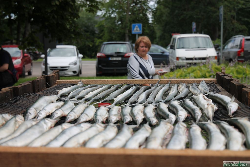 Gallery image 153620