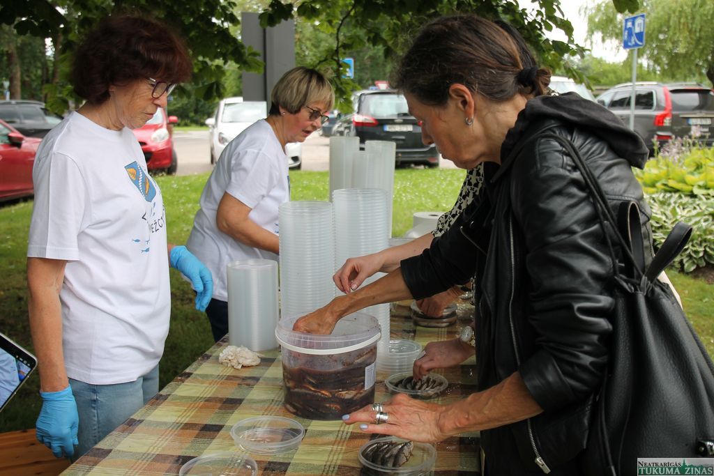 Gallery image 153621