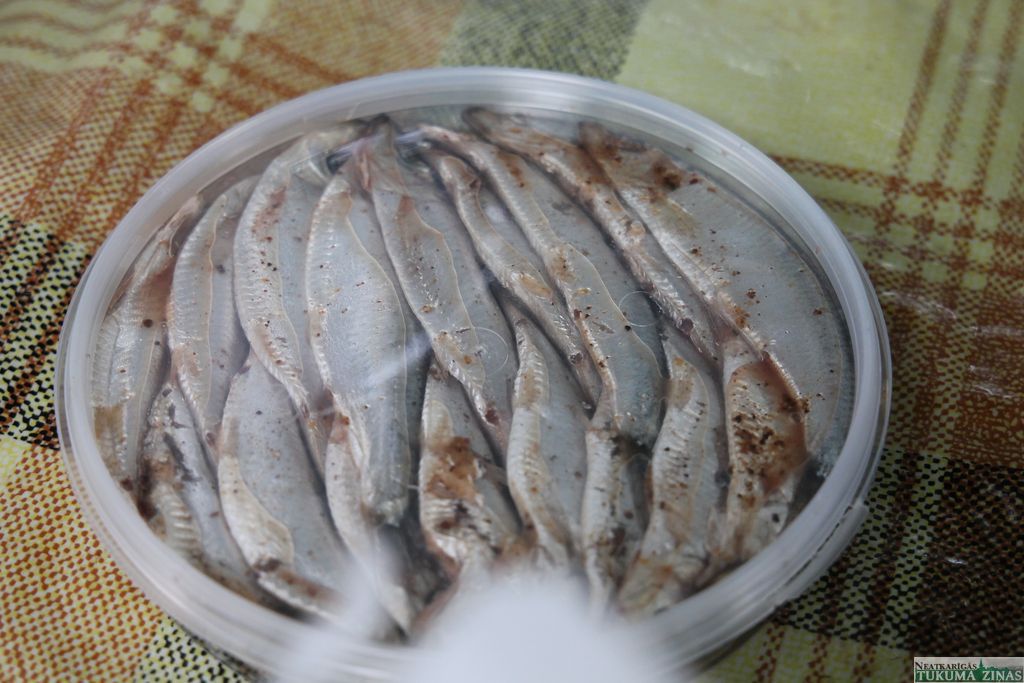 Gallery image 153619